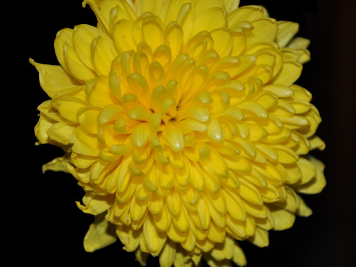 430103 (a): :1600x1200